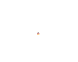PRO-SMH